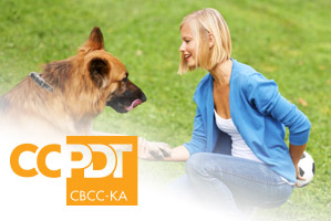 certified dog behavior consultant 