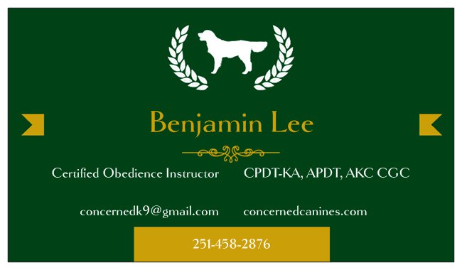 certified dog trainer near me